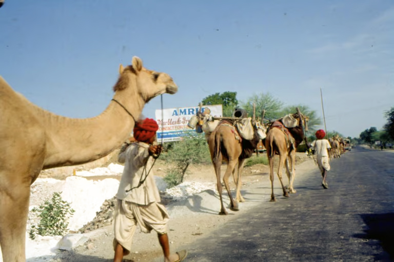 राजस्थान राज्य कार्य योजना जलवायु परिवर्तन पर