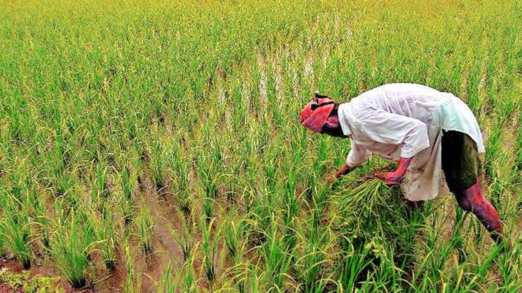 प्राकृतिक खेती मिशन और पर्यावरण !