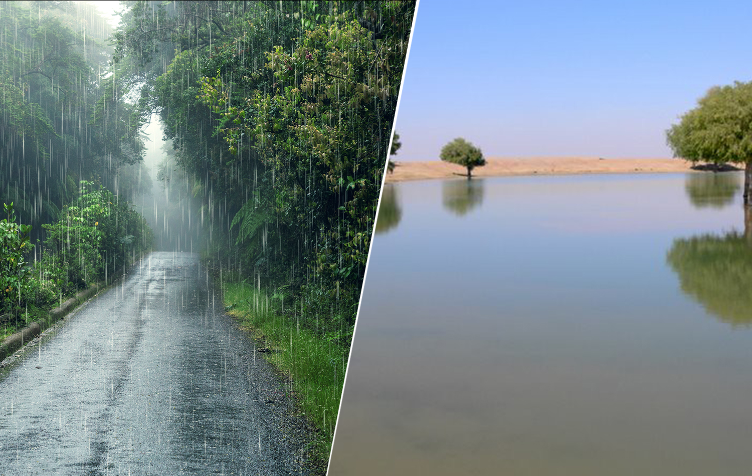 ताकि सारे साल पानीदार रहे समाज !