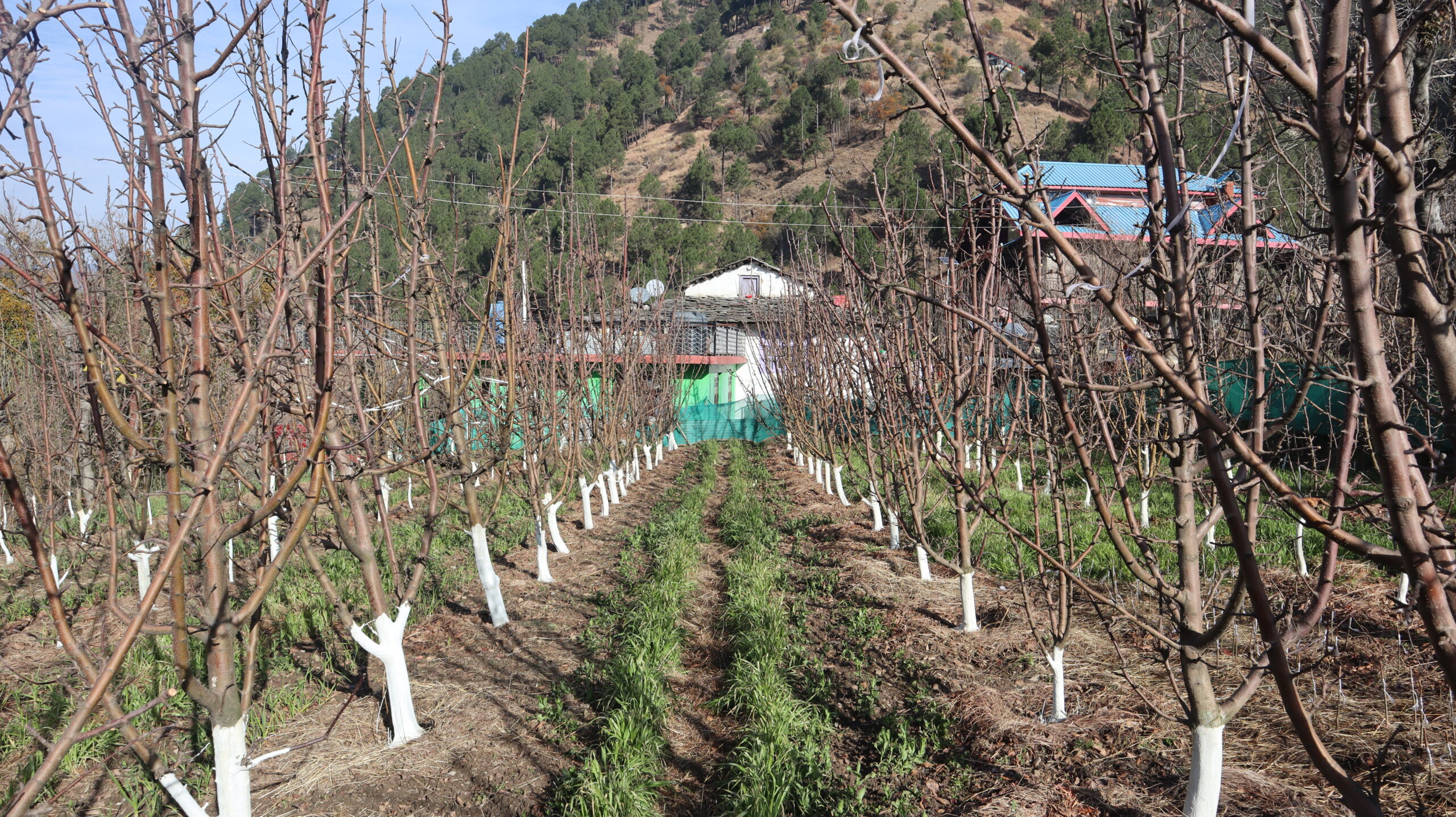 समृद्ध किसान, समृद्ध हिमाचल