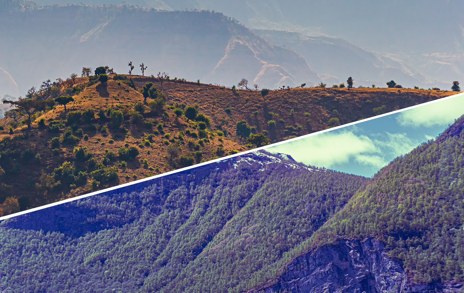 सतत विकास: समृद्धि और संरक्षण का साझा मार्ग !