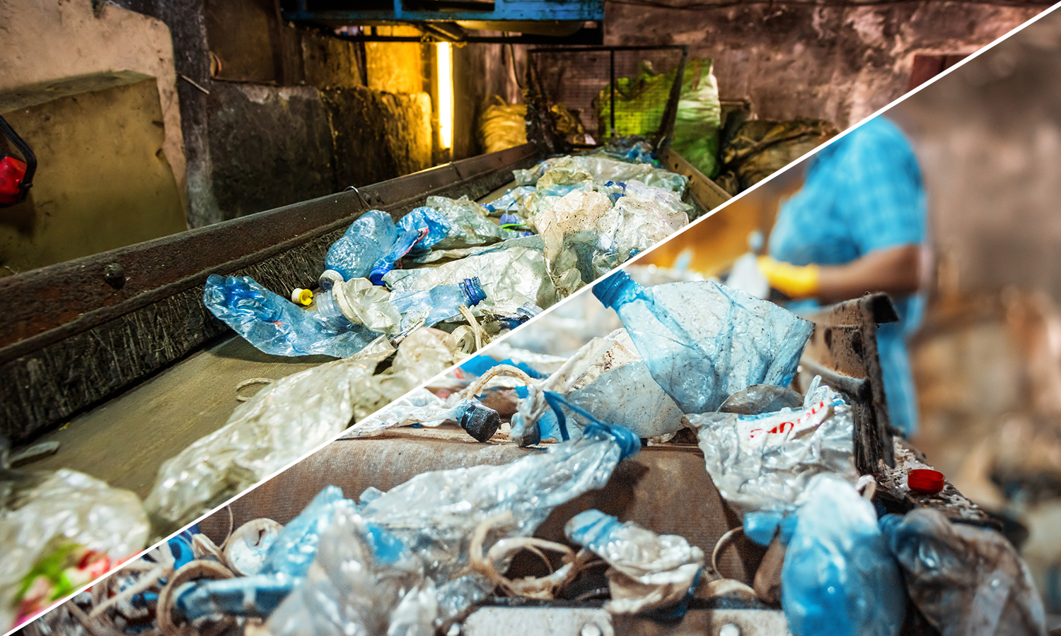 पर्यावरण सखियां: जिनके जिम्मे है कचरा प्रबंधन से लेकर पर्यावरण की रखवाली तक